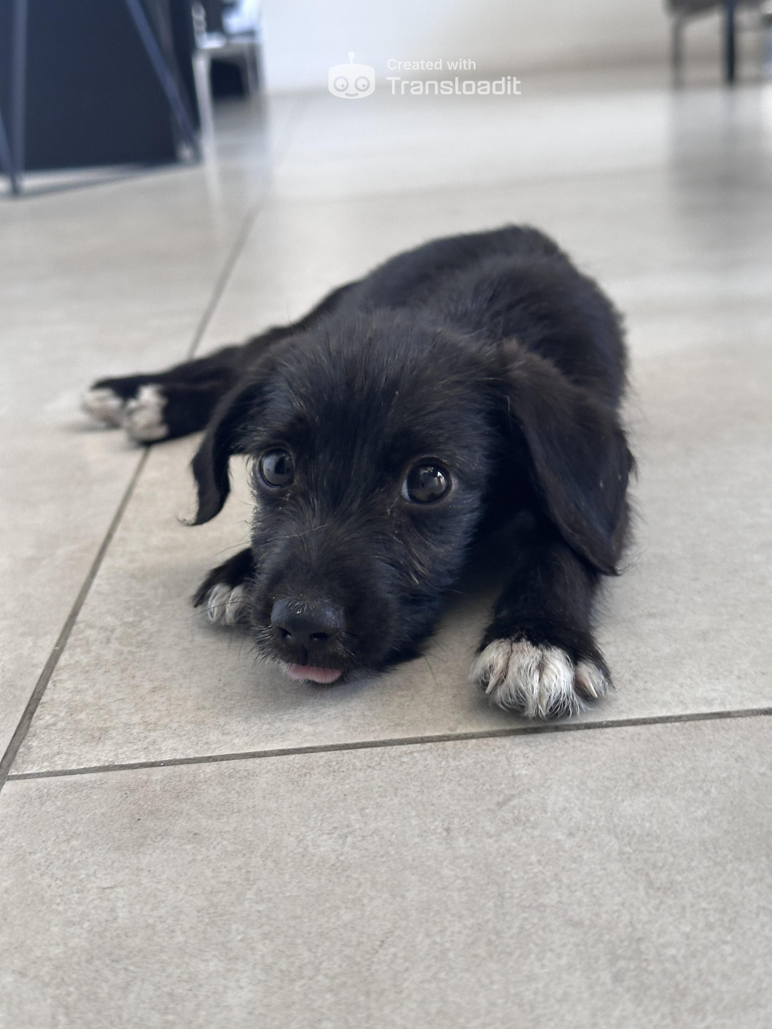 Foto de Sombra (alternativa)